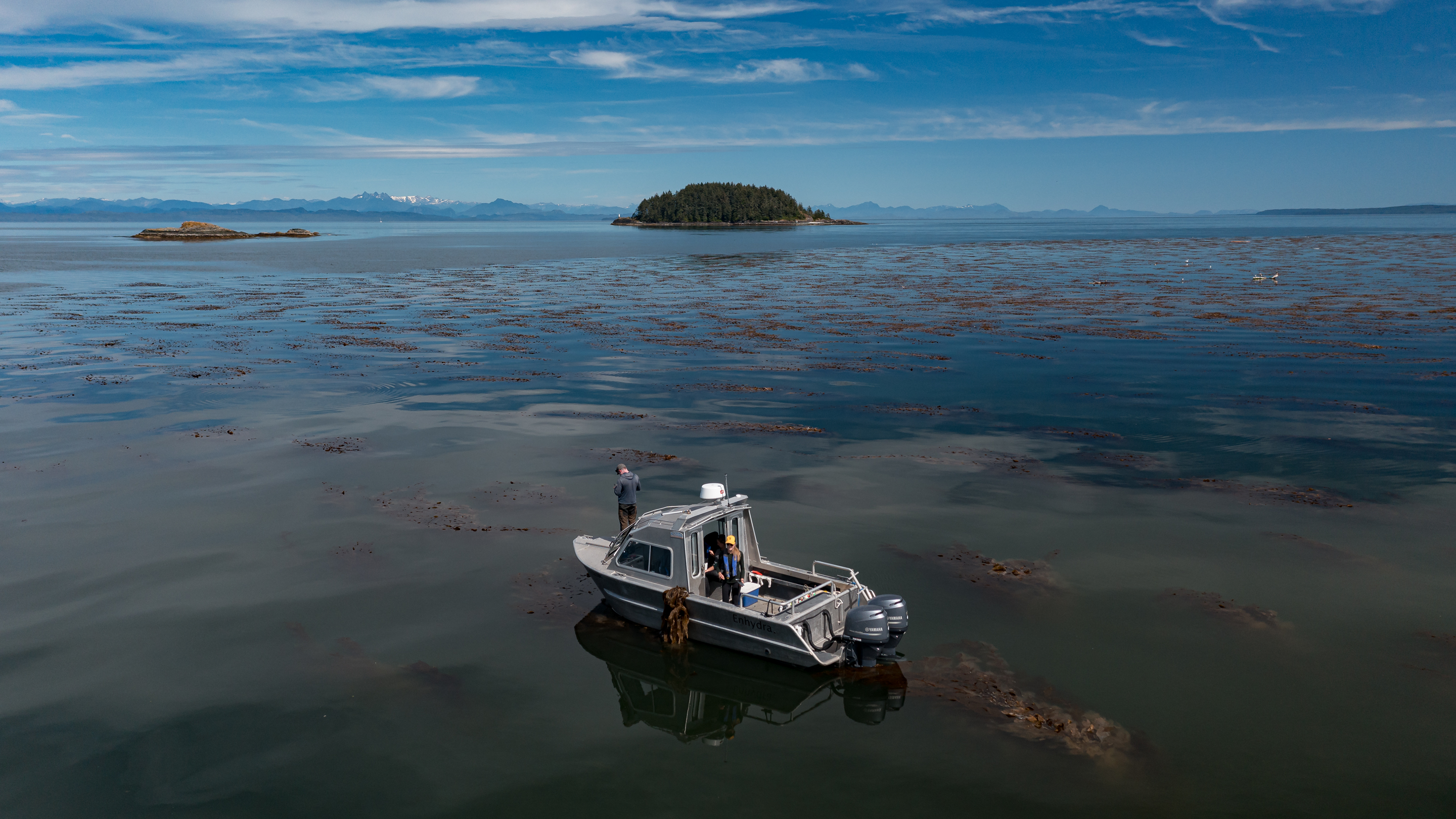 A small fishing boat sits in a vast ocean scene, near a large kelp bed. Small islands dot the distance.