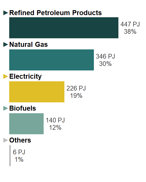 Chart of use demand by fuel type in BC in 2016
