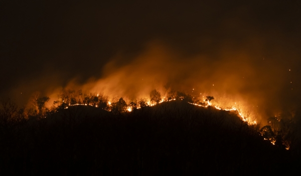 A wildfire burning at night
