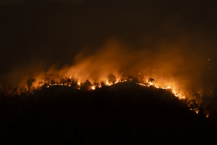 A wildfire burning at night